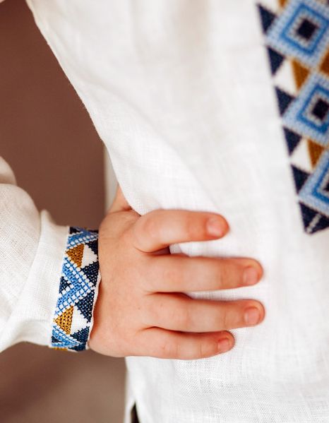 Сорочка вишита для хлопчика з синім етнічним орнаментом Д618 фото
