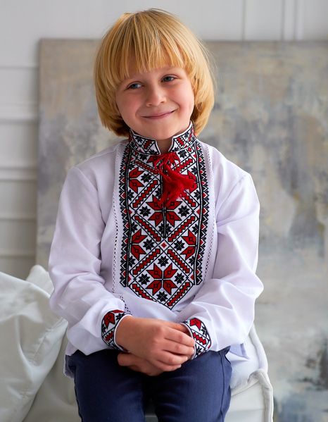 Вишиванка для хлопчика з натуральної тканини,червона вишивка 2140303607 фото